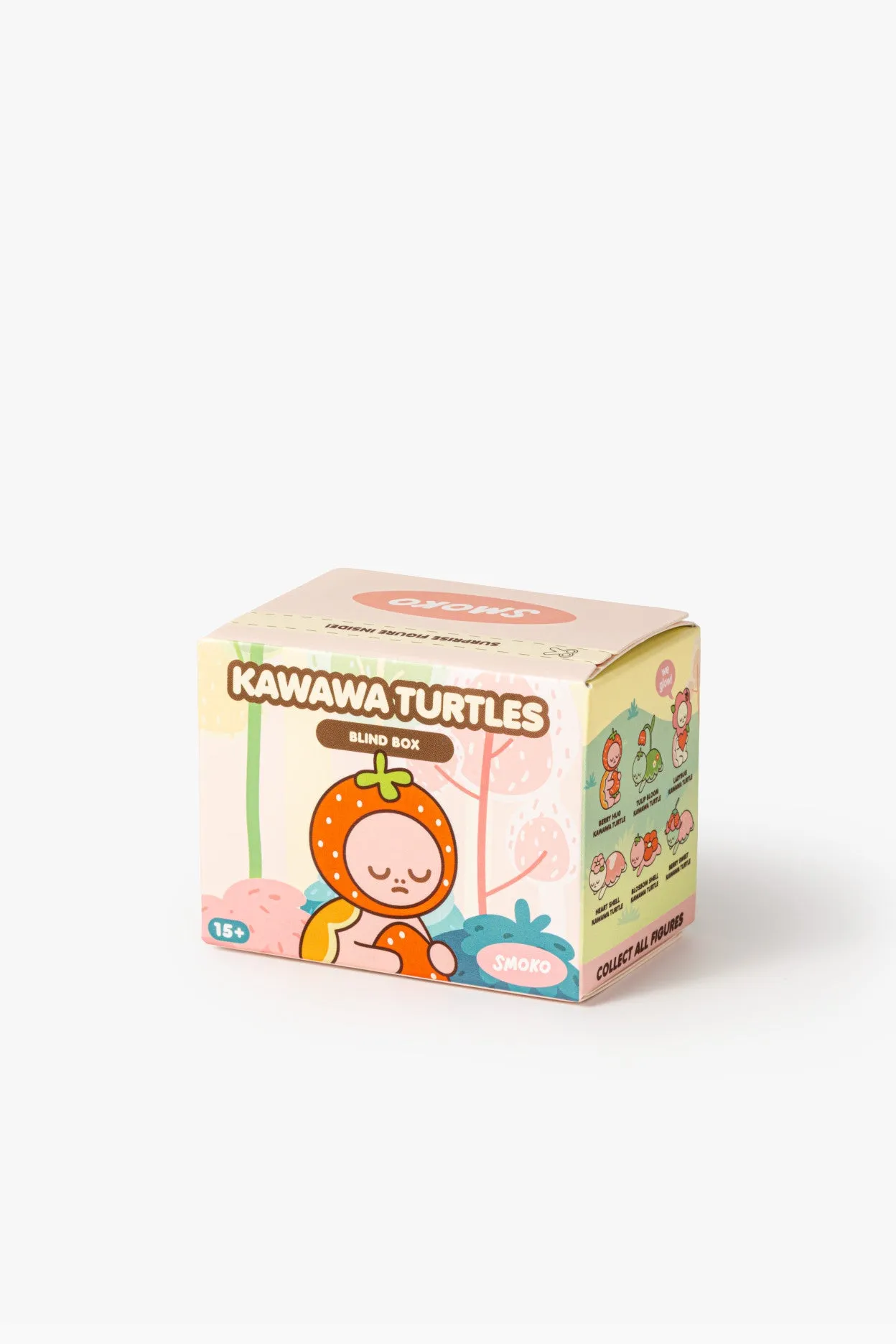 Smoko Kawawa Turtles Blind Box Figure - Image 4